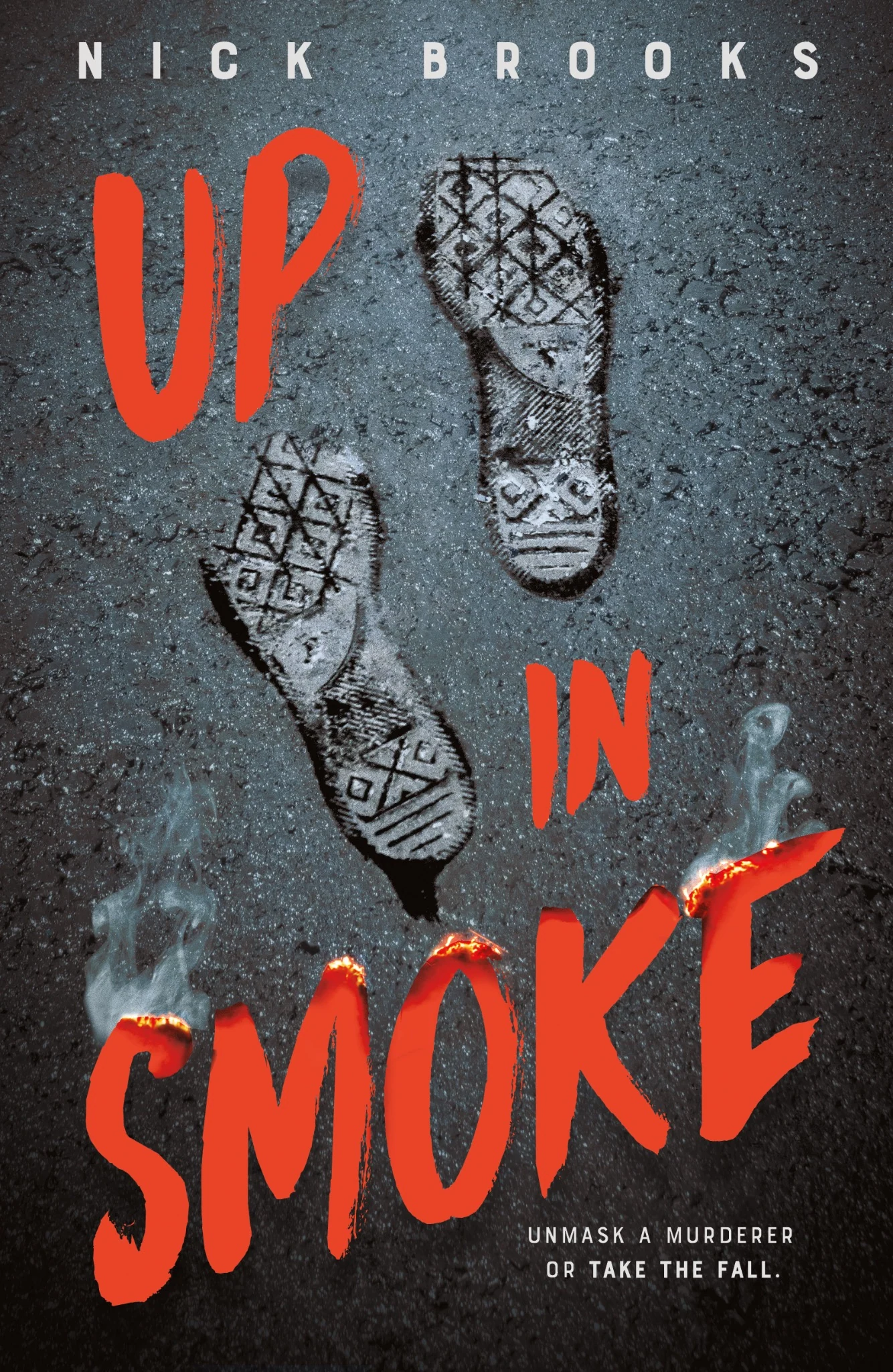 Up in Smoke book cover
